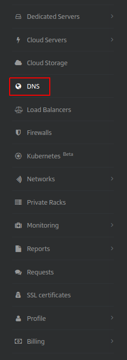 Go to the DNS section