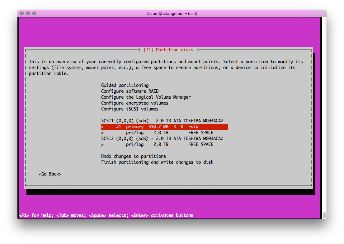 disk partition setup with RAID configuration highlighted