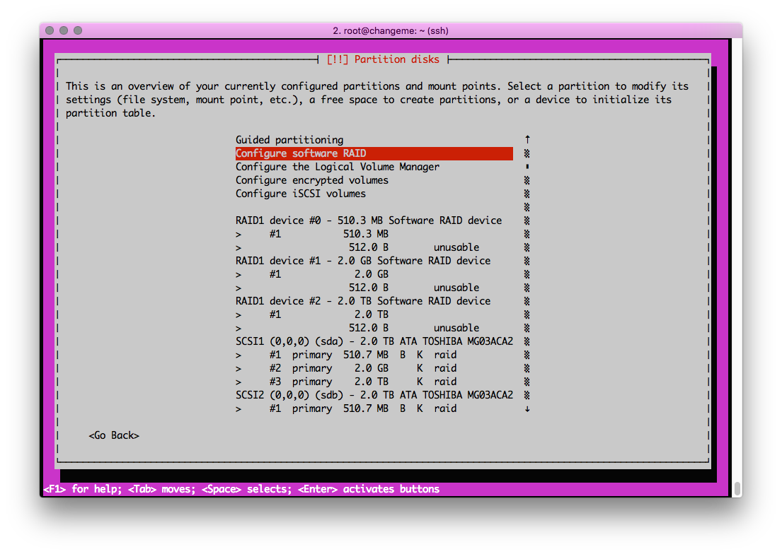 disk partitioning and RAID configuration menu in system setup