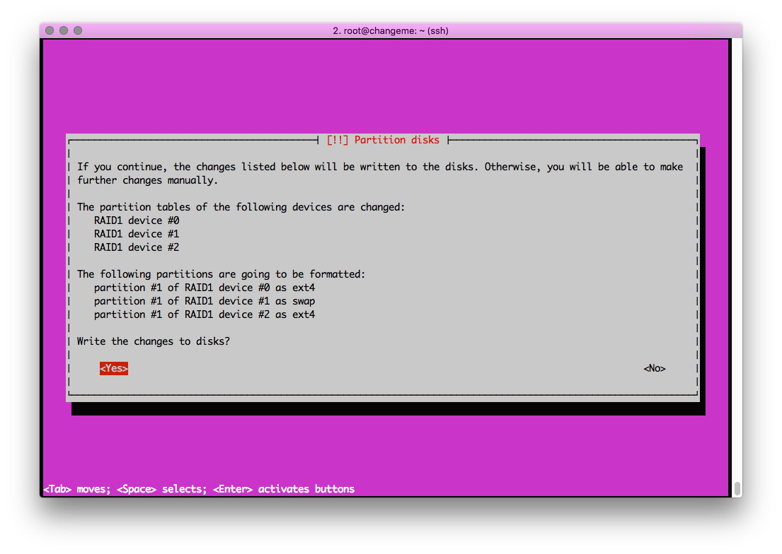 Screen displaying RAID disk partitioning options