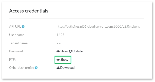 Connecting to Cloud Storage using the console client