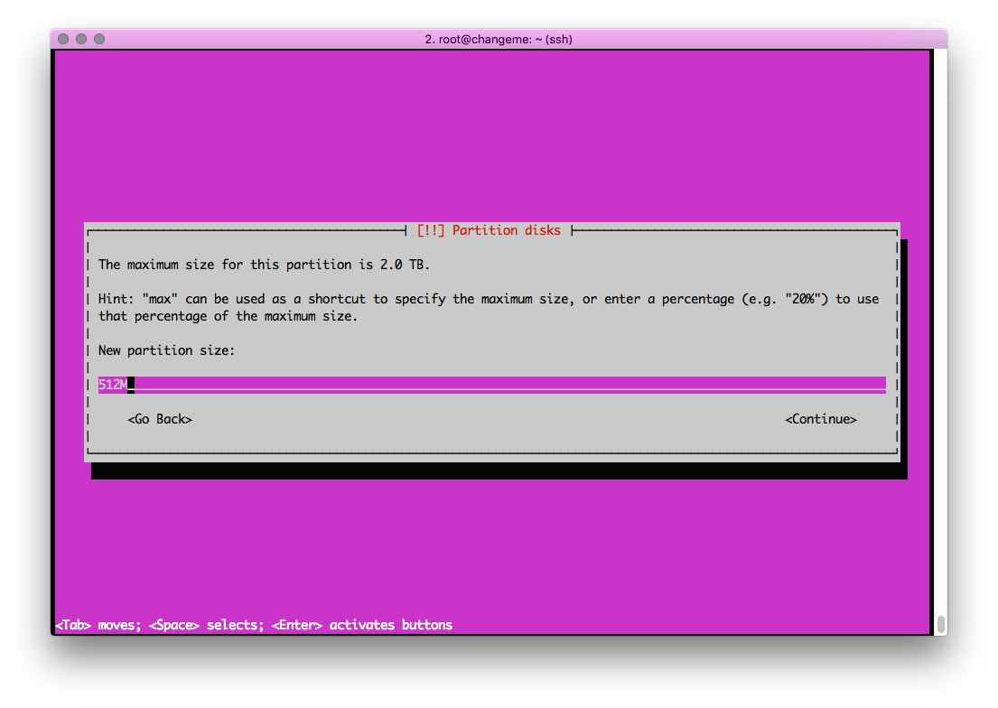 Disk partition size configuration interface in a terminal session