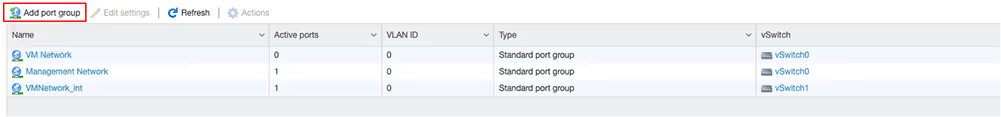 Clicking Add port group in the ESXi networking interface