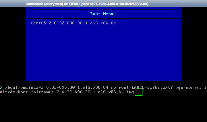 Modified boot parameters on cloud server
