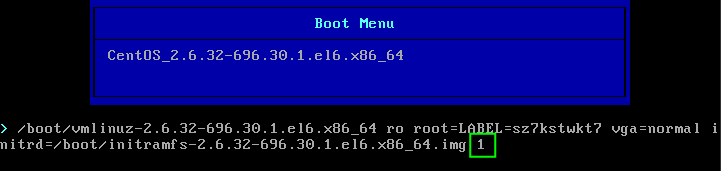 Modified boot parameters on cloud server