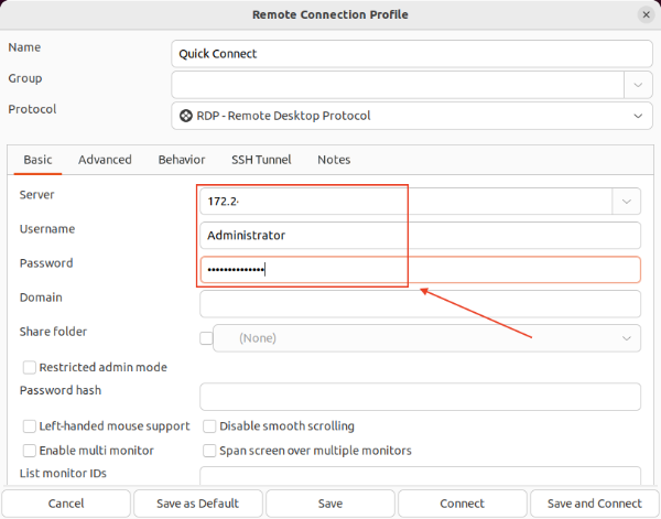Enter server address and credentials in Remmina