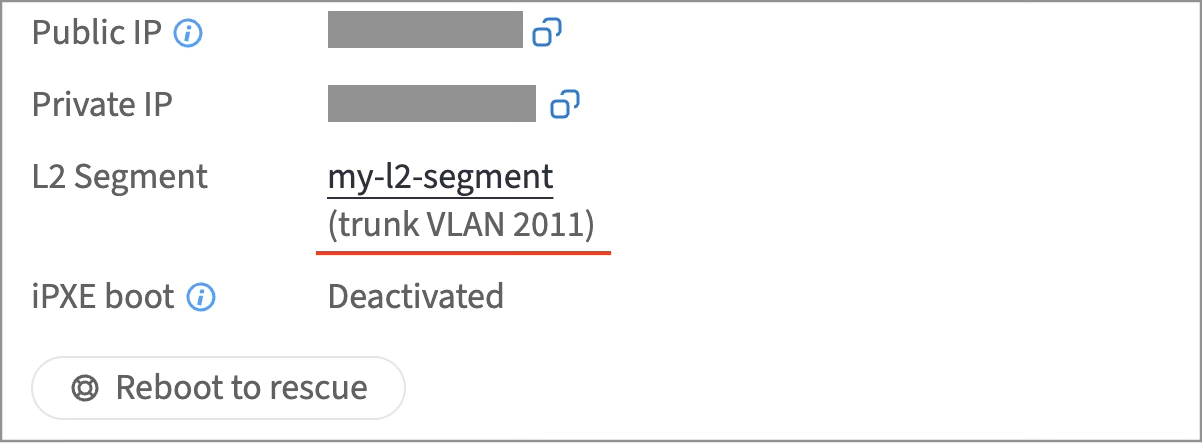VLAN ID on server details page